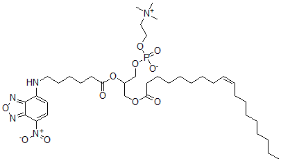 CAS#: 99566-32-2, 1-Oleoyl-2-(7-(4-Nitrobenzo-2-Oxa-1,3-Diazole))-6-Aminocaproylphosphatidylcholine