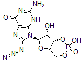 CAS 登录号：99754-65-1， 8-叠氮基鸟苷环单磷酸酯