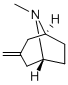 CAS#: 99838-33-2, 8-Methyl-3-Methylene-8-Aza-Bicyclo[3.2.1]Octane