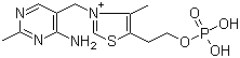CAS # 10023-48-0, 3-[(4-Amino-2-methyl-5-pyrimidinyl)methyl]-4-methyl-5-[2-(phosphonooxy)ethyl]thiazolium