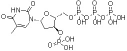 CAS # 1015762-49-8, Thymidine 5'-(tetrahydrogen triphosphate) 3'-(dihydrogen phosphate)