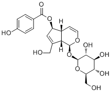 CAS 登录号：1016987-87-3, 6-O-对羟基苯甲酰基桃叶珊瑚苷