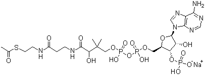 structure of CAS# 102029-73-2, 乙酰辅酶 A 钠盐