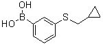 structure of CAS# 1025746-82-0, [3-(环丙基甲硫基)苯基]硼酸