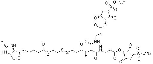 CAS 登录号：1044220-56-5, 6-[2-生物素基酰胺基乙基]-二硫基丙酰胺基]-4,8-二氮杂-5,7-二氧代十一烷酸 二-N-磺基琥珀酰亚胺基酯二钠盐