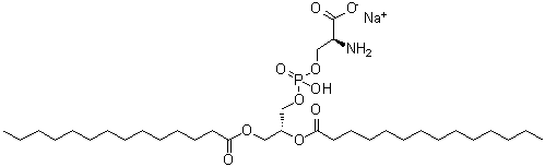 CAS 登录号：105405-50-3, 1,2-二肉豆蔻酰基-sn-甘油-3-[磷酰-L-丝氨酸]钠盐