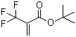 structure of CAS# 105935-24-8, tert-Butyl 2-(trifluoromethyl)acrylate