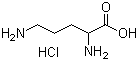 structure of CAS# 1069-31-4, DL-Ornithine hydrochloride