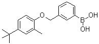 structure of CAS# 1072951-66-6, [3-[[4-(1,1-Dimethylethyl)-2-methylphenoxy]methyl]phenyl]boronic acid