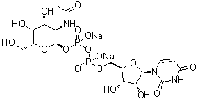 structure of CAS# 108320-87-2, Uridine 5'-(trihydrogen diphosphate) P'-[2-(acetylamino)-2-deoxy-alpha-D-galactopyranosyl] ester disodium salt