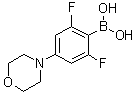structure of CAS# 1093878-46-6, B-[2,6-二氟-4-(4-吗啉基)苯基]硼酸