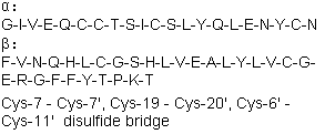 Insulin (cattle) molecular structure (CAS 11070-73-8)