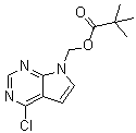 structure of CAS# 1146629-75-5, (4-氯-7H-吡咯并[2,3-d]嘧啶-7-基)甲基特戊酸酯