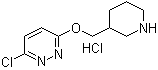 CAS # 1185311-75-4, 3-Chloro-6-(3-piperidinylmethoxy)pyridazine hydrochloride