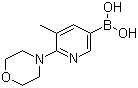 structure of CAS# 1191062-85-7, B-[5-甲基-6-(4-吗啉基)-3-吡啶基]硼酸