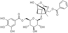 CAS 登录号：122965-41-7, 6'-O-没食子酰芍药甙