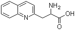 CAS # 123761-12-6, 3-(2-Quinolyl)-DL-alanine, 2-Amino-3-(quinolin-2-yl)propionic acid