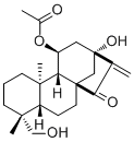 CAS 登录号：125164-55-8, 叶含乙酰瘿花香茶菜素 A