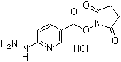 structure of CAS# 133081-27-3, Succinimidyl 6-hydrazinonicotinate hydrochloride