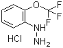 structure of CAS# 133115-76-1, 2-(三氟甲氧基)苯肼盐酸盐