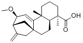 CAS # 135383-94-7, 12alpha-Methoxygrandiflorenic acid, (1S,4S,5R,9R,12S,13R)-12-methoxy-5,9-dimethyl-14-methylidenetetracyclo[11.2.1.01,10.04,9]hexadec-10-ene-5-carboxylic acid