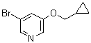 structure of CAS# 1383133-14-9, 3-Bromo-5-(cyclopropylmethoxy)pyridine