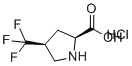 CAS # 1384424-55-8, (2S,4S)-4-(Trifluoromethyl)pyrrolidine-2-carboxylic acid hydrochloride