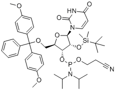 CAS # 144490-31-3, 5'-O-DMT-2'-O-TBDMS-L-Uridine 3'-CE phosphoramidite, rU Phosphoramidite,3-[[(2R,3R,4R,5R)-2-[[bis(4-methoxyphenyl)-phenylmethoxy]methyl]-4-[tert-butyl(dimethyl)silyl]oxy-5-(2,4-dioxopyrimidin-1-yl)oxolan-3-yl]oxy-[di(propan-2-yl)amino]phosphanyl]oxypropanenitrile