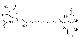 CAS 登录号：146294-05-5, 8-[3-[[[2-(乙酰氨基)-2-脱氧-beta-D-吡喃葡糖基]氧基]甲基]-3H-双吖丙啶-3-基]辛基 2-(乙酰氨基)-2-脱氧-beta-D-吡喃葡糖苷