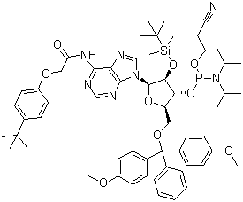 structure of CAS# 149989-64-0, 5'-O-(4,4-Dimethoxytrityl)-2'-O-[(tert-butyl)dimethylsilyl]-N-[[4-(tert-butyl)phenoxy]acetyl]adenosine-3'-(2-cyanoethyl-N,N-diisopropyl)phosphoramidite
