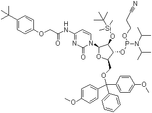 structure of CAS# 149989-66-2, 5'-O-(4,4-二甲氧基三苯甲基)-2'-O-[(叔丁基)二甲基硅基]-N-[[4-(叔丁基)苯氧基]乙酰基]胞苷-3'-(2-氰基乙基-N,N-二异丙基)亚磷酰胺