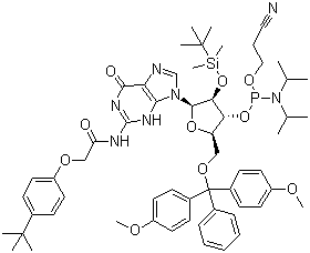 CAS # 149989-68-4, 5'-O-(4,4-Dimethoxytrityl)-2'-O-[(tert-butyl)dimethylsilyl]-N-[[4-(tert-butyl)phenoxy]acetyl]guanosine-3'-(2-cyanoethyl-N,N-diisopropyl)phosphoramidite, 5'-O-DMT-2'-TBDMS-rG(N-tac)-3'-CEDPA