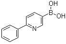 structure of CAS# 155079-10-0, 2-苯基吡啶-5-硼酸