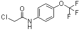 structure of CAS# 161290-85-3, 2-氯-N-(4-三氟甲氧基苯基)乙酰胺