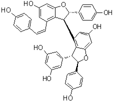 CAS # 168037-22-7, cis-Miyabenol C, (2S,2'R,3S,3'R)-3'-(3,5-Dihydroxyphenyl)-2,2',3,3'-tetrahydro-2,2'-bis(4-hydroxyphenyl)-4-[(1Z)-2-(4-hydroxyphenyl)ethenyl]-[3,4'-bibenzofuran]-6,6'-diol