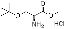 CAS 登录号：17114-97-5, O-叔丁基-L-丝氨酸甲酯盐酸盐