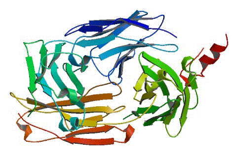 CAS # 174722-31-7, Rituximab, Retuxin, Rituxan