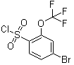 CAS # 175278-14-5, 4-Bromo-2-trifluoromethoxyphenylsulfonyl chloride, 2-Trifluoromethoxy-4-bromobenzenesulfonyl chloride, 4-Bromo-2-(trifluoromethoxy)benzene-1-sulfonyl chloride, 4-Bromo-2-trifluoromethoxybenzenesulfonyl chloride