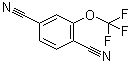 CAS # 175278-16-7, 2-(Trifluoromethoxy)-1,4-benzenedicarbonitrile