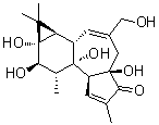 structure of CAS# 17673-25-5, 4beta-Phorbol