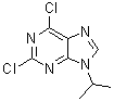 structure of CAS# 203436-45-7, 2,6-二氯-9-异丙基-9H-嘌呤
