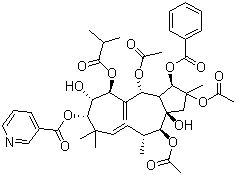 CAS 登录号：210108-87-5, 麻风树碱 3, 2,5,14-三乙酰氧基-3-苯甲酰基氧基-8,15-二羟基-7-异丁酰氧基-9-烟酰氧基-6(17),11E-麻风树属二烯