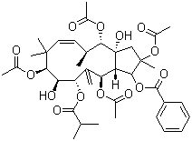 CAS # 210108-88-6, Jatrophane 4, 2,5,9,14-Tetraacetoxy-3-benzoyloxy-8,15-dihydroxy-7-isobutyroyloxyjatropha-6(17),11E-diene