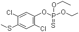 CAS # 21923-23-9, Chlorthiophos I, O-[2,5-Dichloro-4-(methylthio)phenyl] O,O-diethyl phosphorothioate, S 2957, Phosphorothioic acid, O-[2,5-dichloro-4-(methylthio)phenyl] O,O-diethyl ester