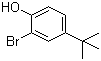 structure of CAS# 2198-66-5, 2-溴-4-叔丁基苯酚