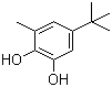 structure of CAS# 2213-66-3, 5-tert-Butyl-3-methyl-1,2-benzenediol