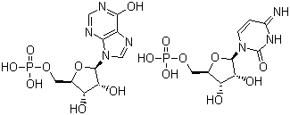 structure of CAS# 24939-03-5, 聚胞苷酸