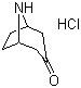 structure of CAS# 25602-68-0, 去甲托品酮盐酸盐