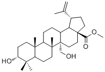 CAS 登录号：263844-79-7, 3,27-二羟基-20(29)-流明-28-酸甲酯