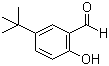 CAS # 2725-53-3, 5-tert-Butyl-2-hydroxybenzaldehyde, 5-(tert-butyl)-2-hydroxybenzenecarbaldehyde